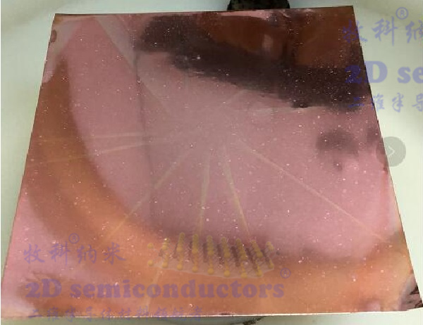PMMA+背面等離子刻蝕.jpg